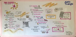 Graphic Recording of Pink Goldfish Speech by stan phelps